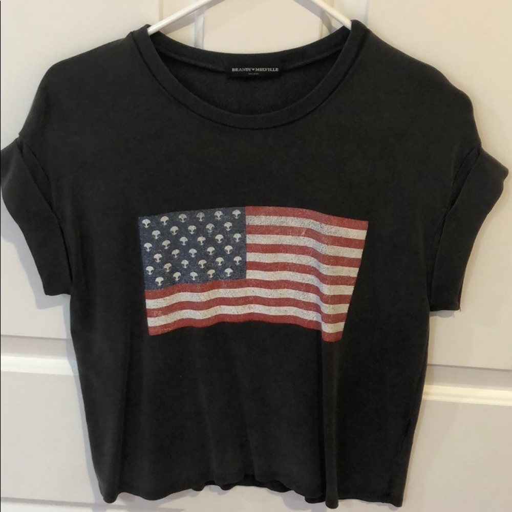 Brandy Melville Crop Top